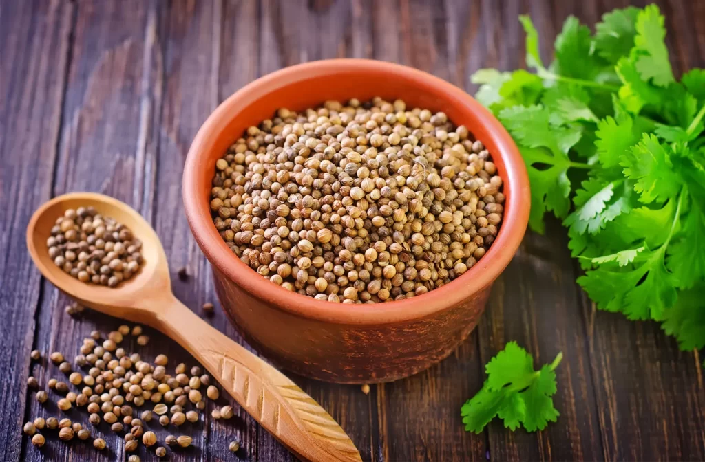 Coriander Botanical Name