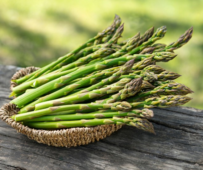 Asparagus Racemosus Benefits