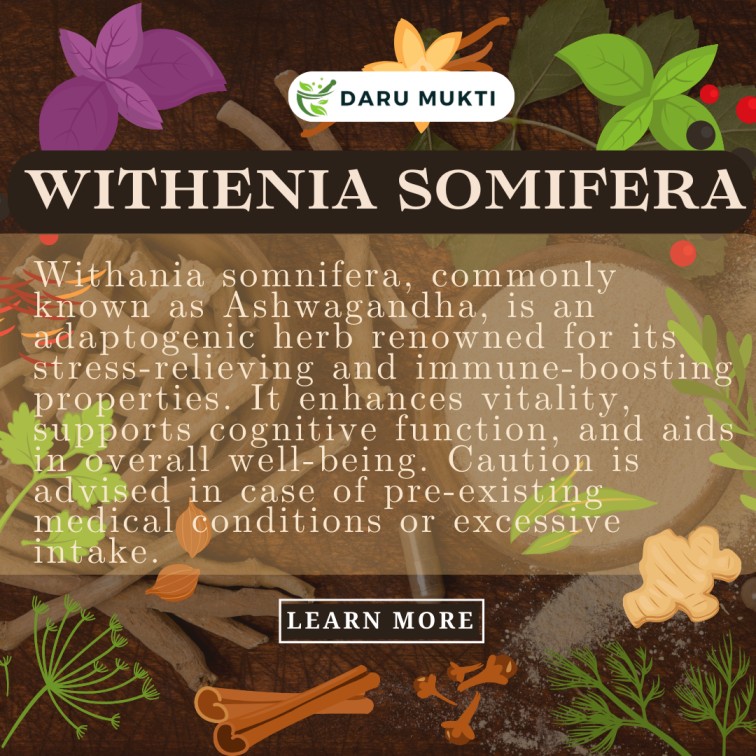 Withenia Somifera